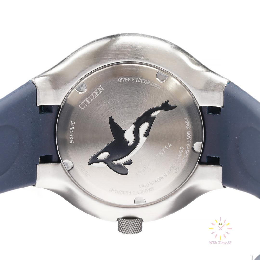 CITIZEN PROMASTER BN0231-01L,solar Watch back side